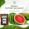 بذر هندوانه کریمسون سوئیت هولار
