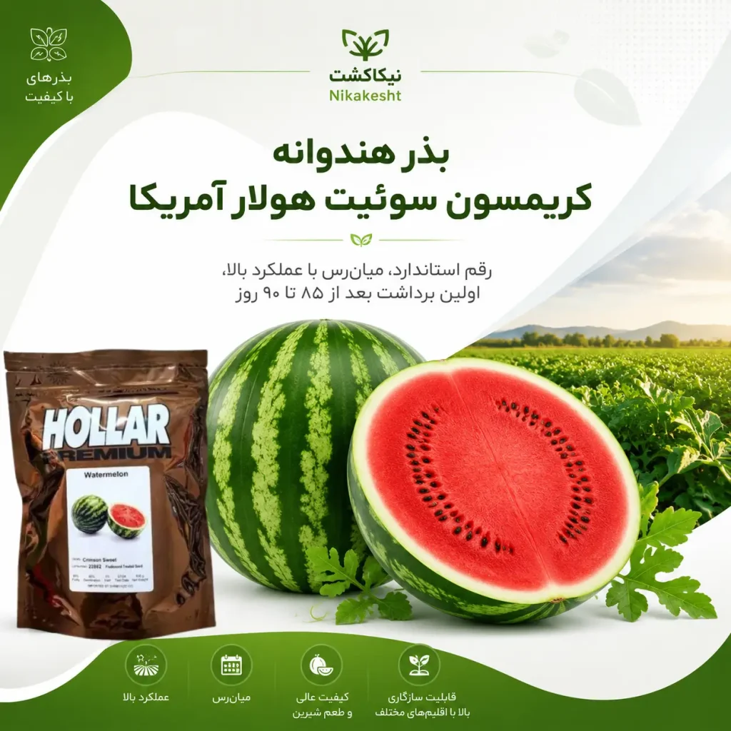 بذر هندوانه کریمسون سوئیت هولار