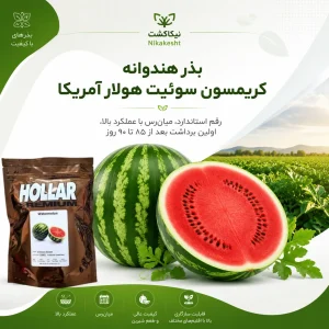 بذر هندوانه کریمسون سوئیت هولار