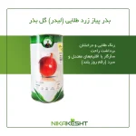 بذر پیاز زرد طلایی گل بذر