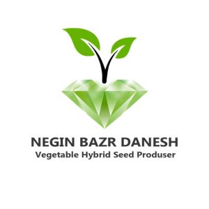 لوگو نگین بذر دانش