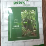 بذر خیار گلخانه ای پالیز ترکیه