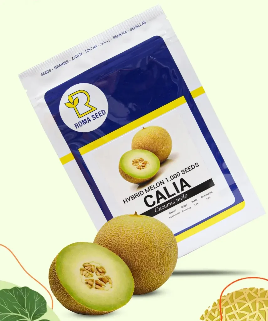 بذر خربزه ملون کالیا روماسیدز