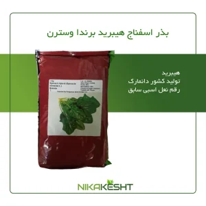 بذر اسفناج برندا