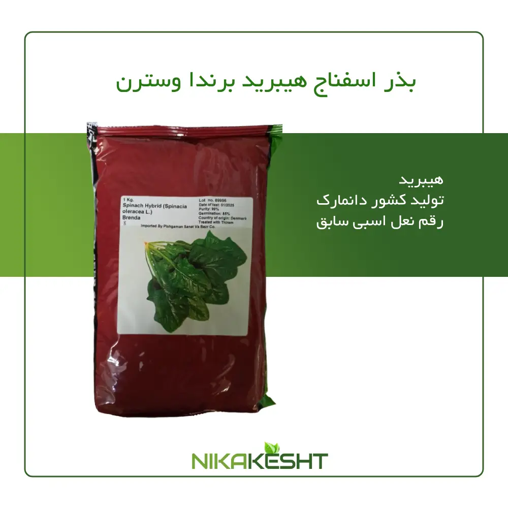 بذر اسفناج برندا