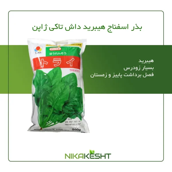 بذر اسفناج داش تاکی