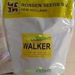 بذر اسفناج واکر روزن سیدز