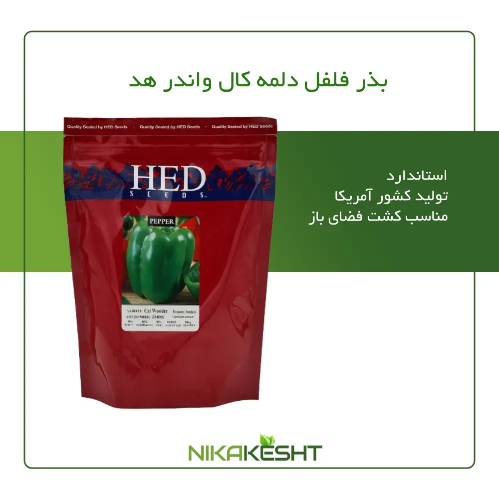 بذر فلفل دلمه کال واندر هد